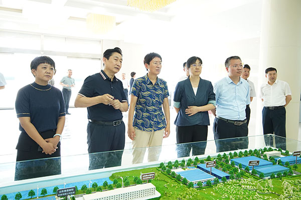 鲁普要闻|山东省人大常委会副主任，省工商联主席、省总商会会长王随莲一行莅临鲁普耐特集团参观调研